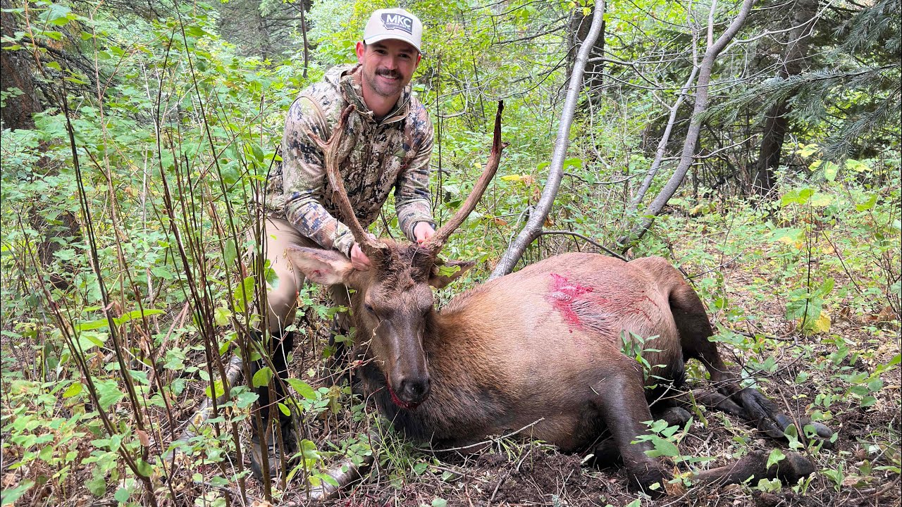 2024 First Archery Elk Down — The Shot, The Wait, The Emotion