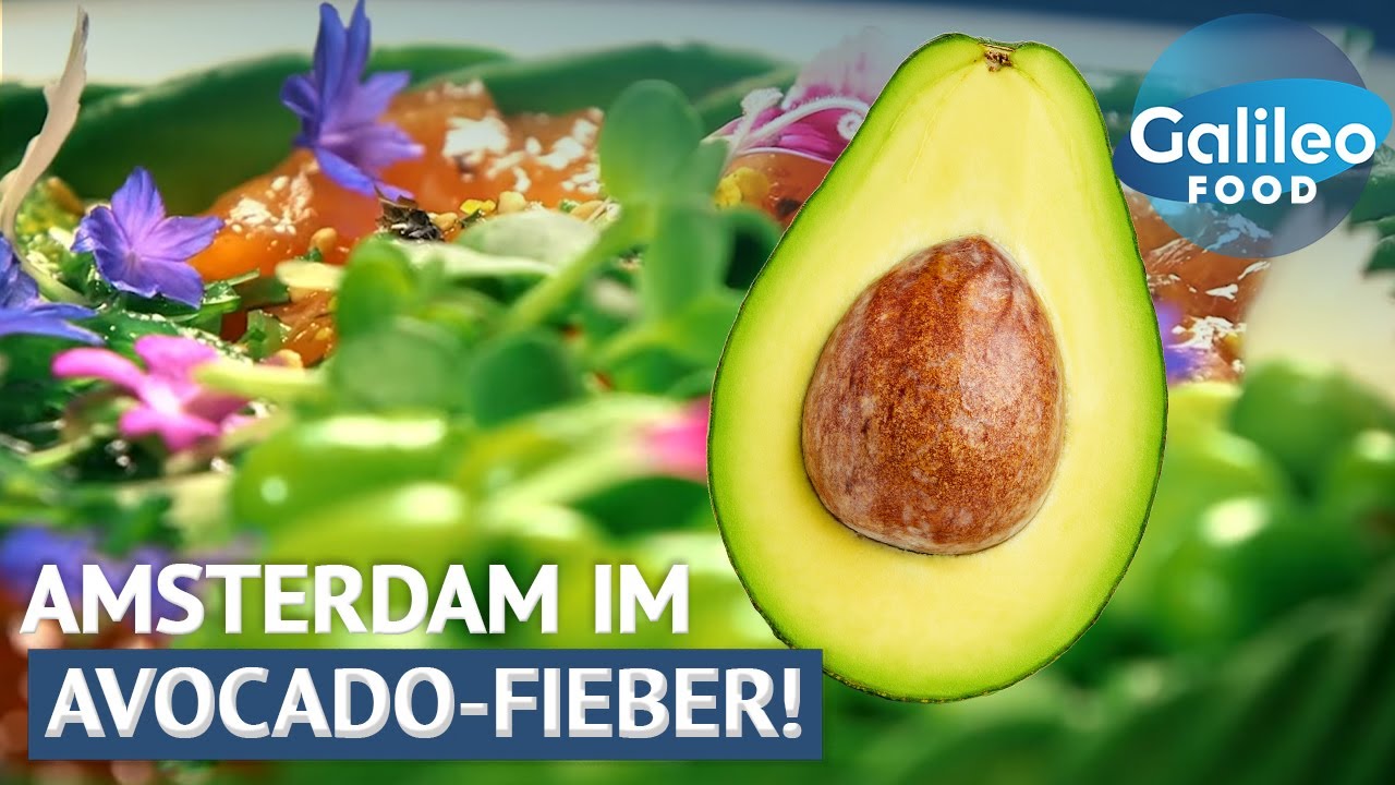Grüner Wahnsinn: Das Avocado Restaurant, das Amsterdam verrückt macht! | Galileo Food