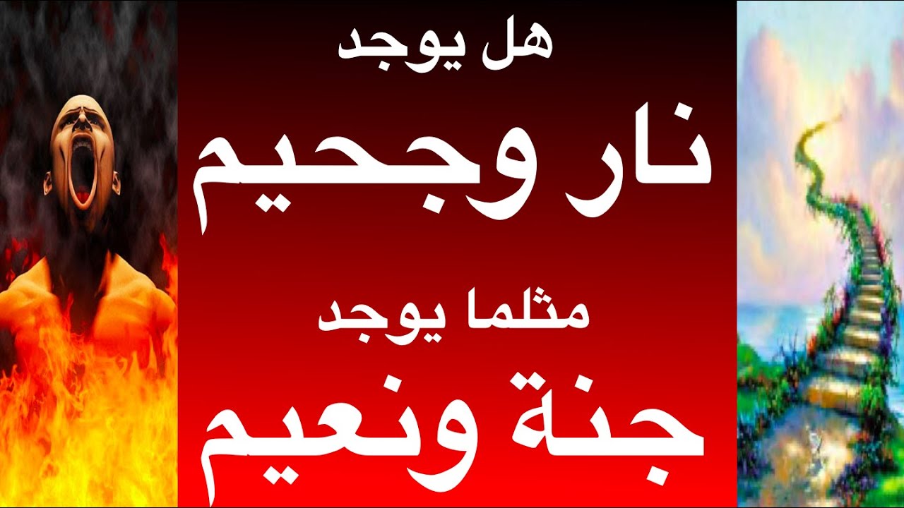 مفاجأة نهاية الفيديو #سورة #التكاثر فهم عميق جدا بعد استعراض الفيديو.. هل وصلت الموجة لكم؟ #نار #جنة