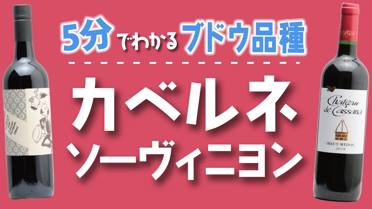 【ワイン初心者】人気の品種！カベルネ・ソーヴィニヨンの4つの魅力【ブドウ品種基礎知識③】