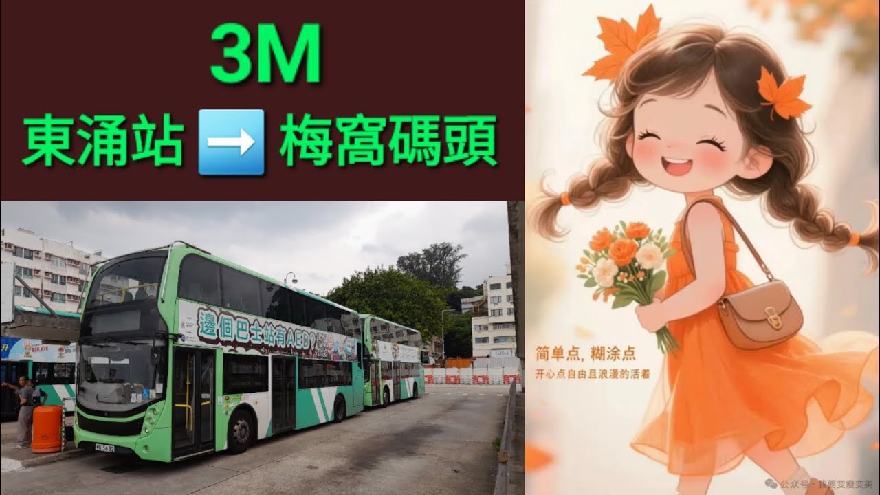 Hong Kong Bus NLB AD13 @ 3M 新大嶼山巴士 Alexander Dennis Enviro400 New Facelift 東涌站 梅窩碼頭