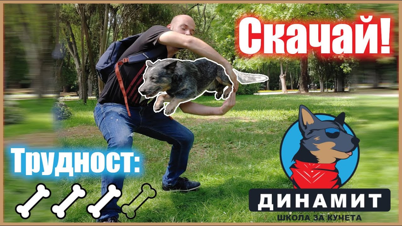 Научете кучето да СКАЧА така!