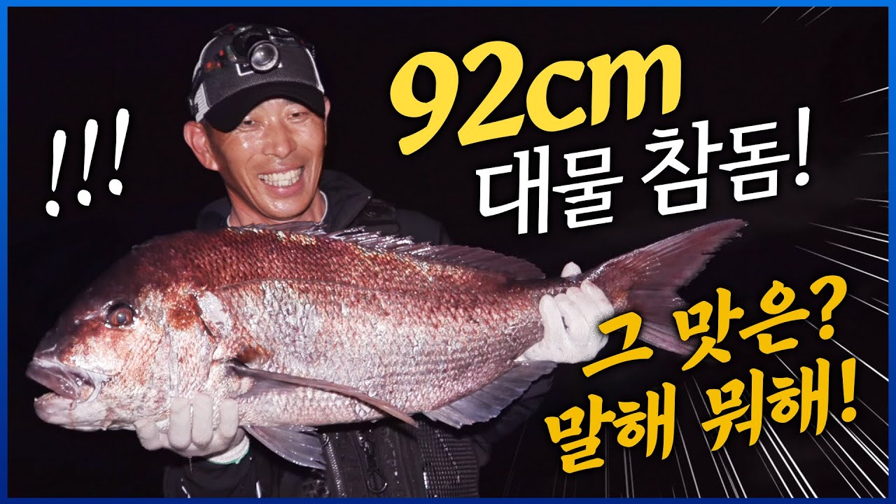 평생 한번 볼까 말까 한 엄청난 크기의 대물 참돔! 특이하게 잡자마자 비늘과 내장 제거? #참돔 #대물참돔회 #92CM참돔 #제주도 [4K]