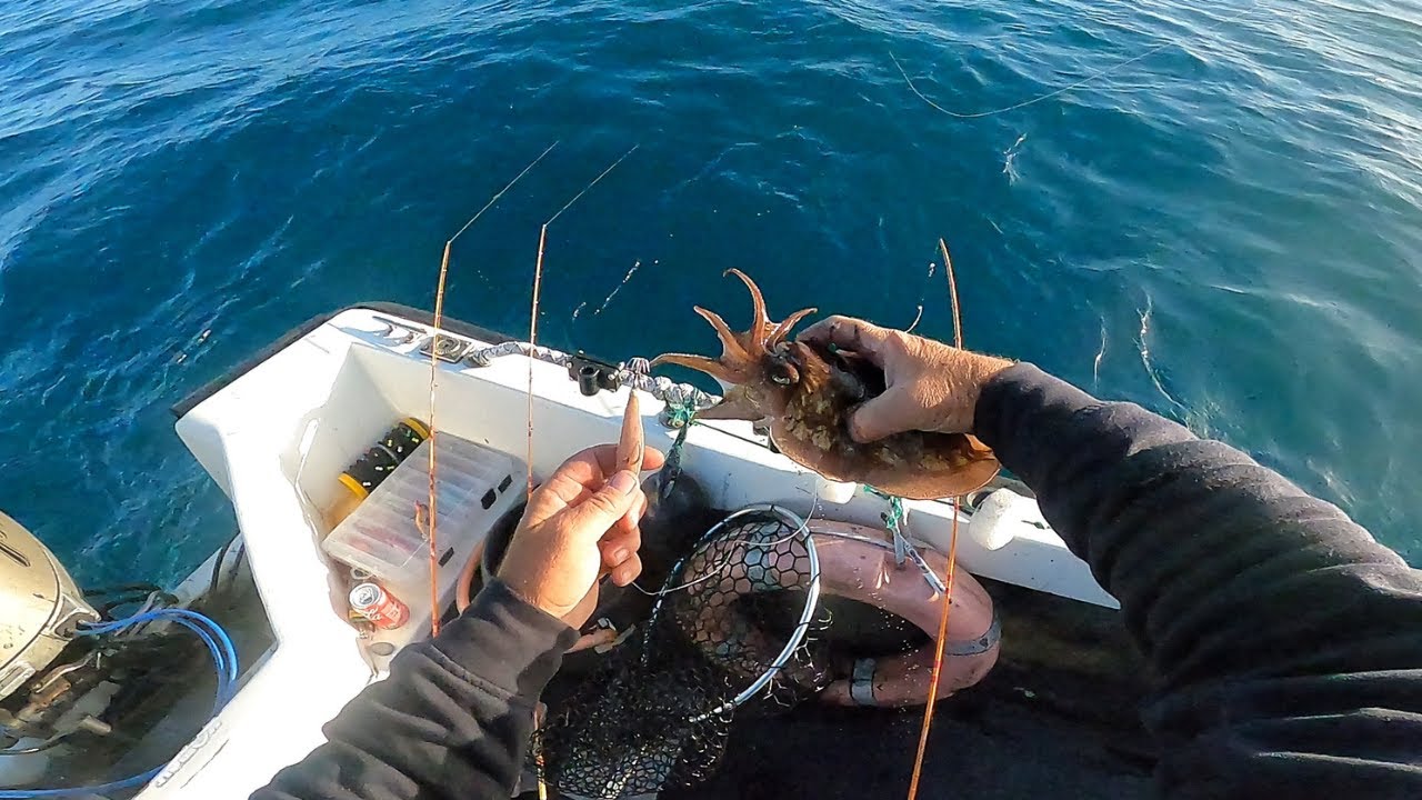 PESCA AO CHOCO EMBARCADO, CADA VEZ MAIS SIMPLES EHEHEHE  😂✅