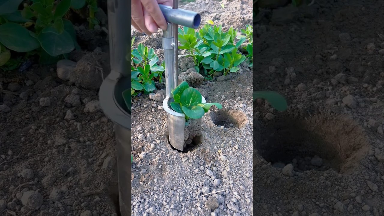 Amazing Field Work by Smart Farmers! 🔥 #farming #short