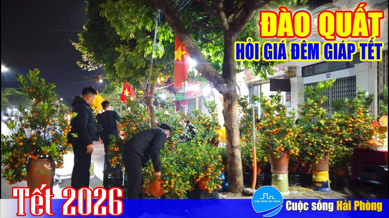 Giá đào quất đêm 17 Tết: khá rẻ