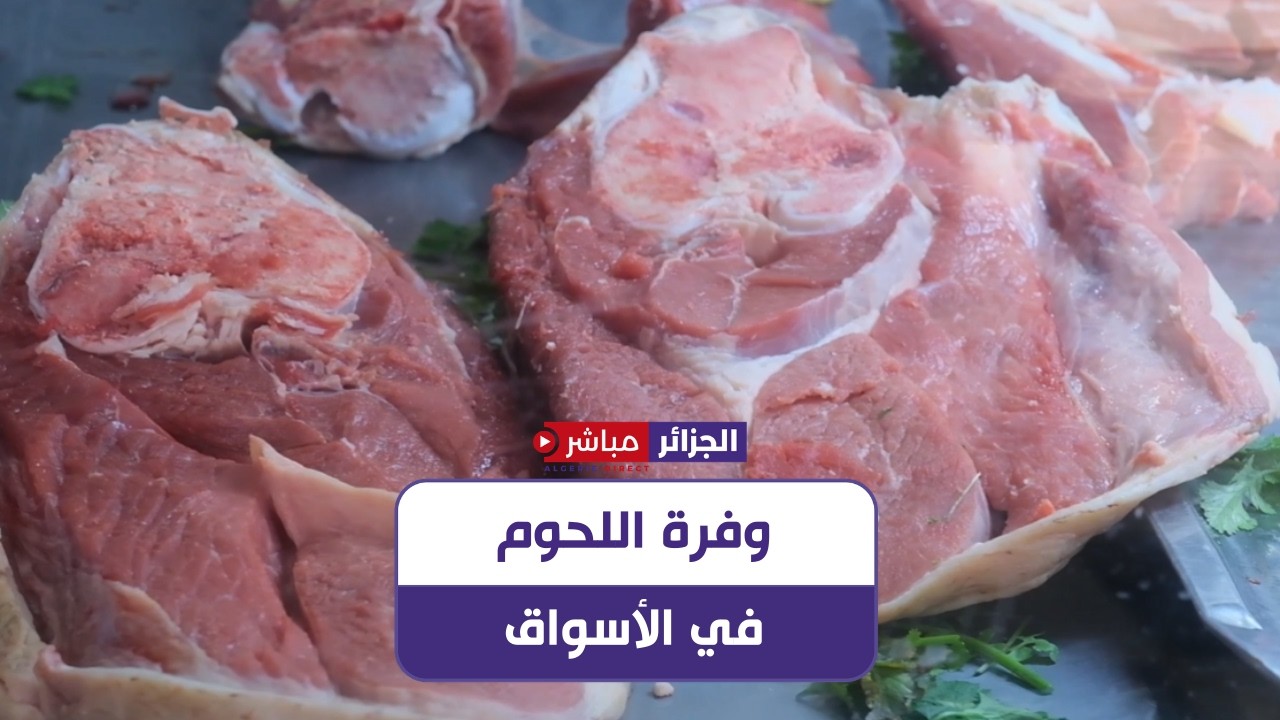 مواطن من ولاية الجلفة: 