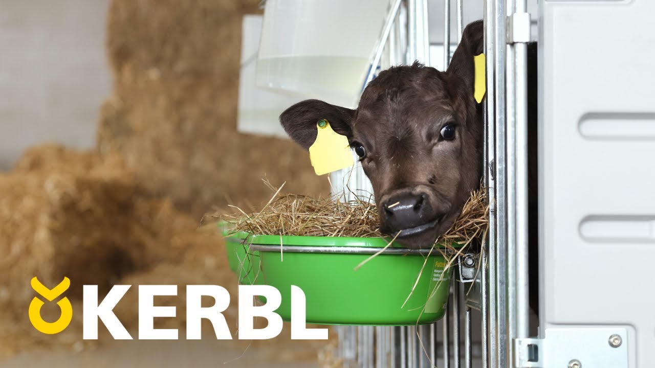 Die neue Modulare K&auml;lberbox 🐮 von KERBL