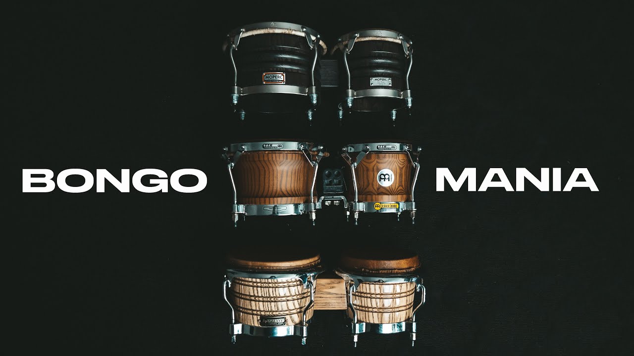 A Bongo Blind Tasting | LP | Meinl | Moperc