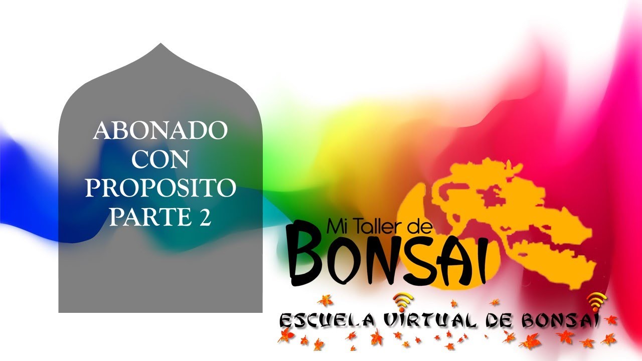 Abonado con PROPOSITO Parte 2