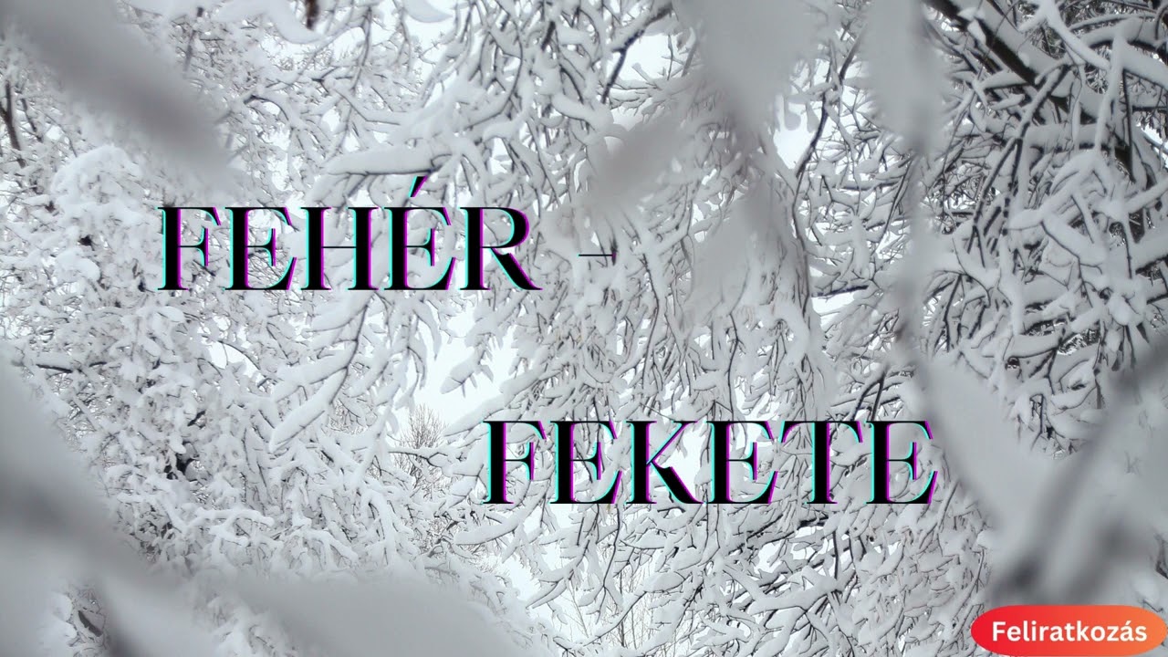 A FEHÉR ÉS A FEKETE SZÍN ÜZENETE ❄️🌟🫧#inspiráció #énidő #önfelfedezés #ilkafirka