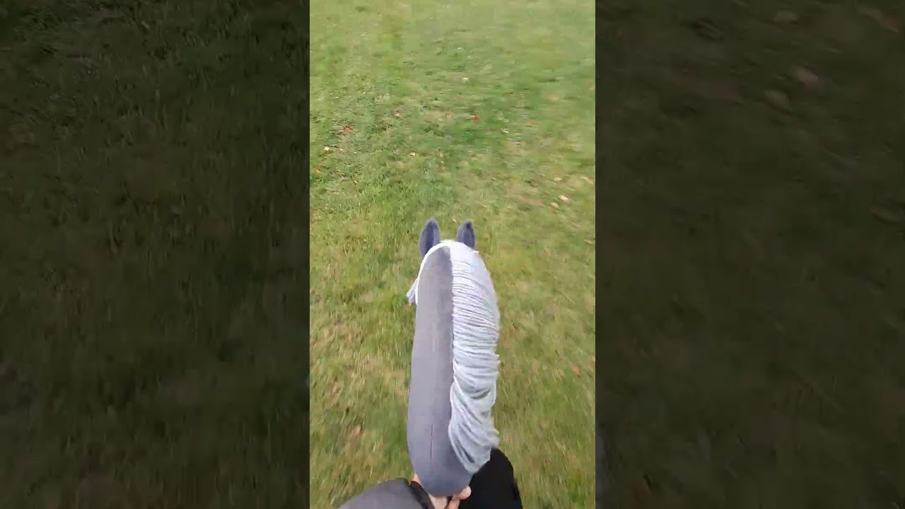 Ta stabilność😍 wolicie cordeo czy haltery? #hh #hobbyhorsing #hobbyhorse #kht wybije się?