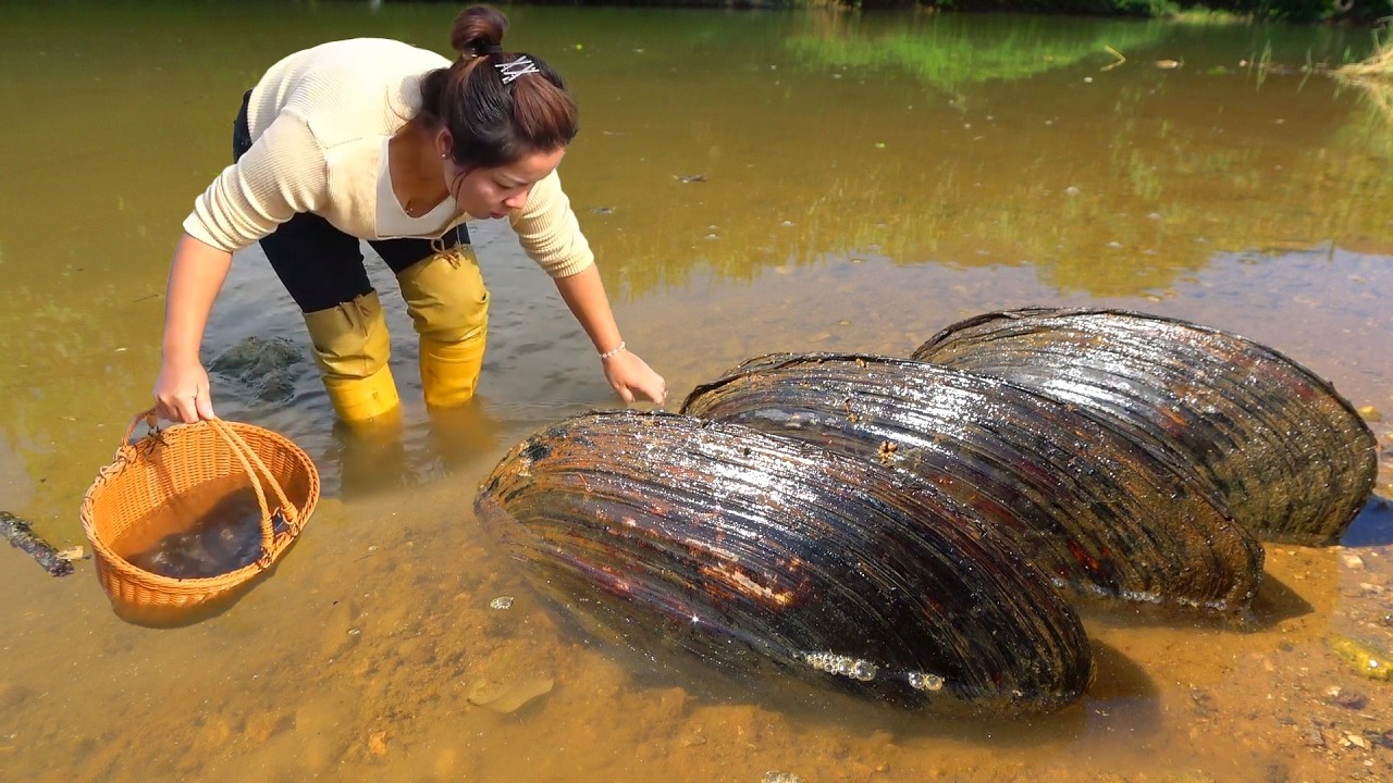 The beauty was surprised to find pearls. Shells hide pearls and eggs, earning a lot of money
