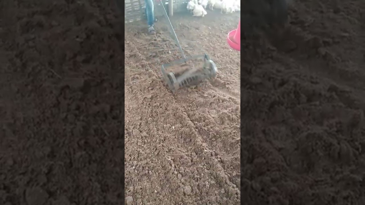 poultry litter raking mechine