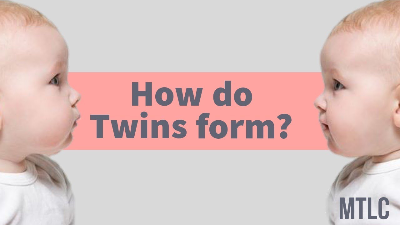 Identical and Non-identical twins|| Conjoint twins|| Twinning physiology