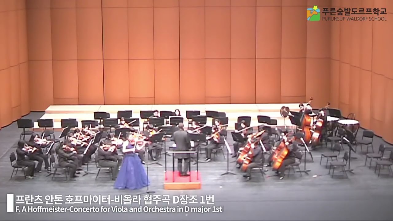 호프마이스터- 비올라 협주곡 D장조 1악장 |Hoffmeister-Viola Concerto in D major, 1st Va. 이가은