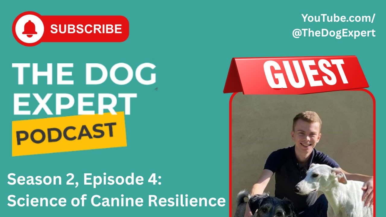 NEW EPISODE: “Bouncing Back” with Daniel Shaw MSc 🧠🐾