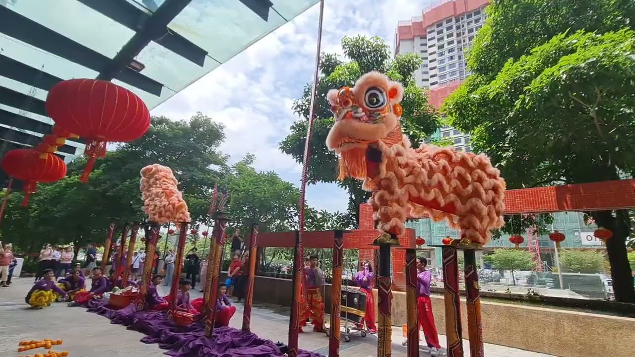 CNY MALAYSIA LION DANCE 