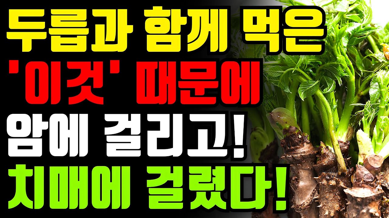 두릅과 절대로 함께 먹지마세요! 암과 치매에 걸릴 수 있습니다! 🌱두릅 최악의 궁합인 3가지와 만성염증 독소 빼주는 보약보다 좋은 최고의 레시피 총정리[봄 나물 해독 효능 건강 ]