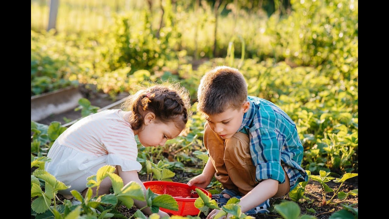 La Coupe du Monde du potager ! Inscrivez vous !