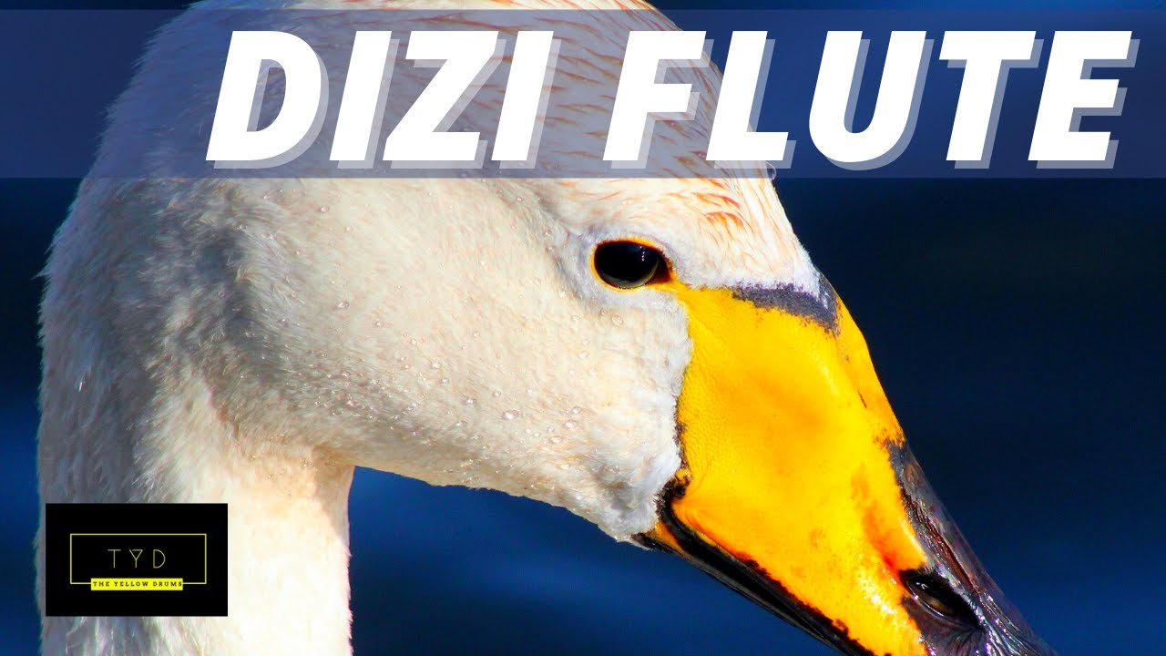 (DIZI) Best Relaxing Music with Bamboo Flute music to Rest Completely With Calm Waves For Sleep