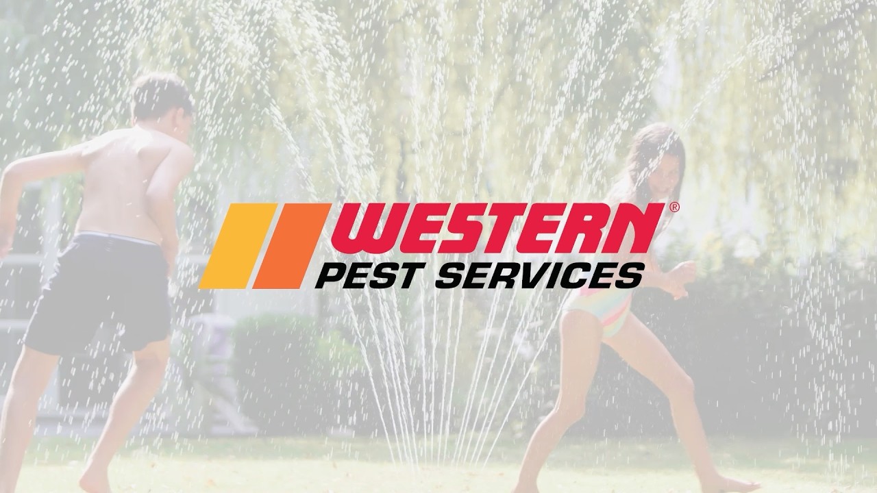 Year-Round Pest Protection for Homeowners | Call Western Pest Services Today