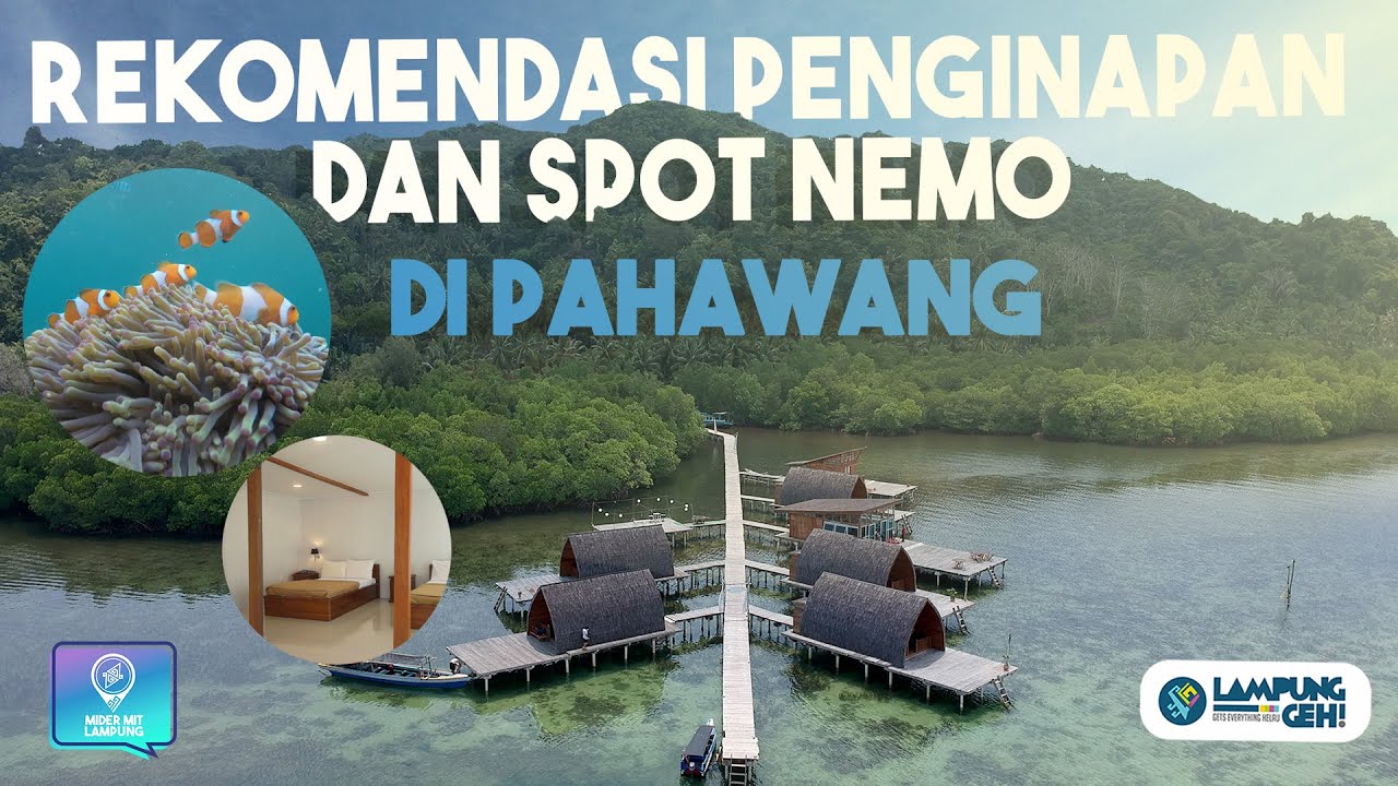 Intip Penginapan-Penginapan Keren di Pahawang, Sekaligus Main ke Taman Nemo! | Lampung Geh