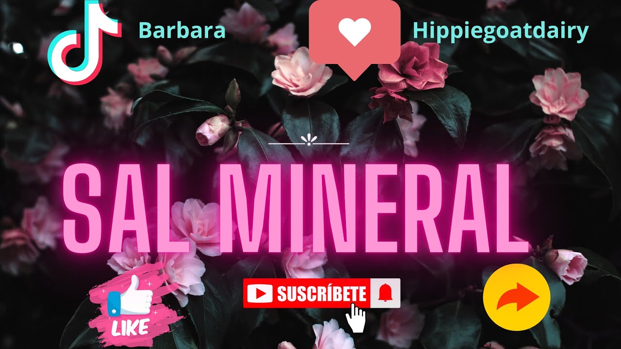 usos de la sal mineral en cabras