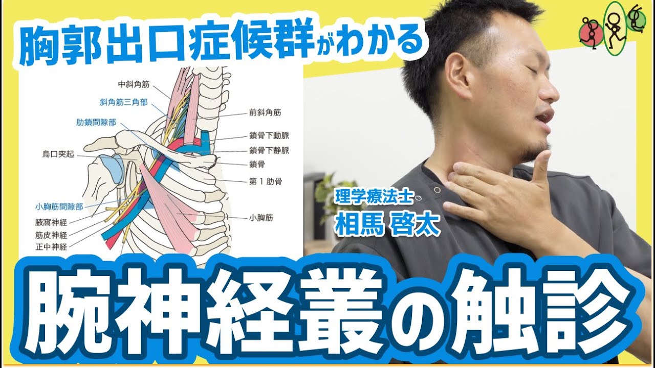 【胸郭出口症候群】自分でできる触診で、首周りの触診を覚えよう！