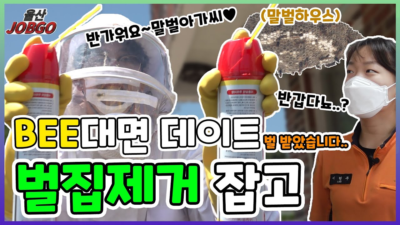 🚨일하다가 뭔 낭패?! 벌(집)받고 왔습니다!!ㅣ울산잡고 ep.53ㅣ벌집제거 편