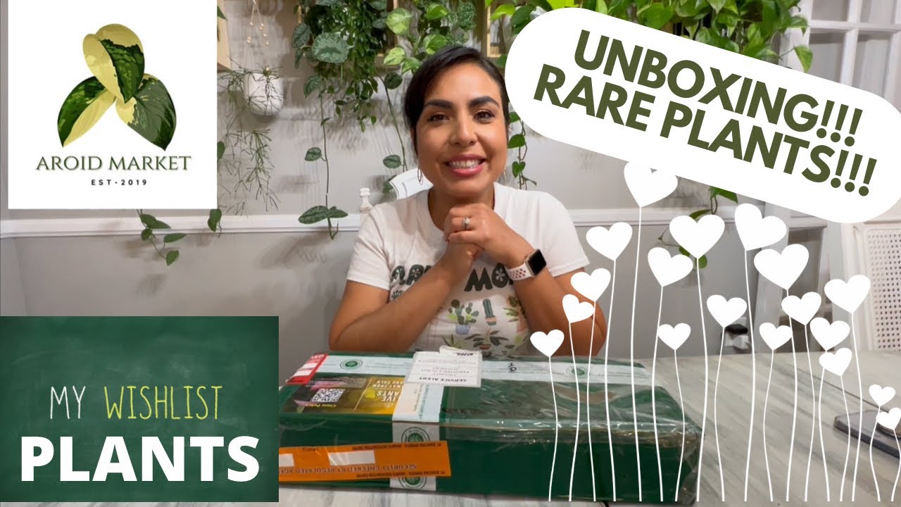 MY NEW PLANTS FROM AROIDMARKET UNBOXING!!! BEAUTIFUL & HEALTHY WISHLIST PLANTS!!! 15% discount code