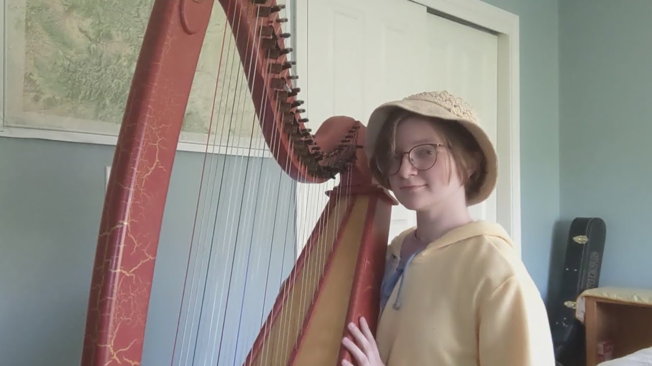 Like Real People Do (Hozier) - Celtic Harp Cover
