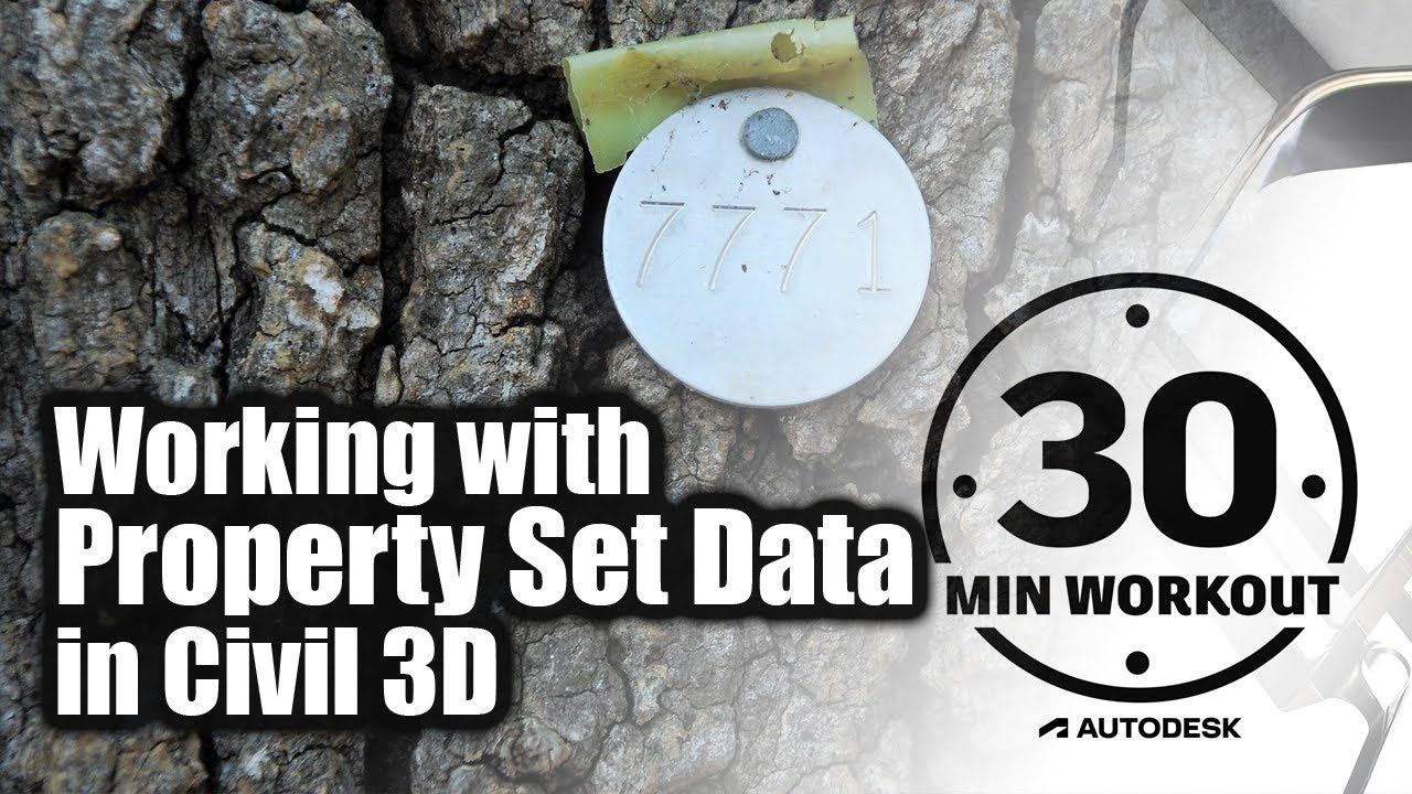 Working with Property Set Data in Civil 3D