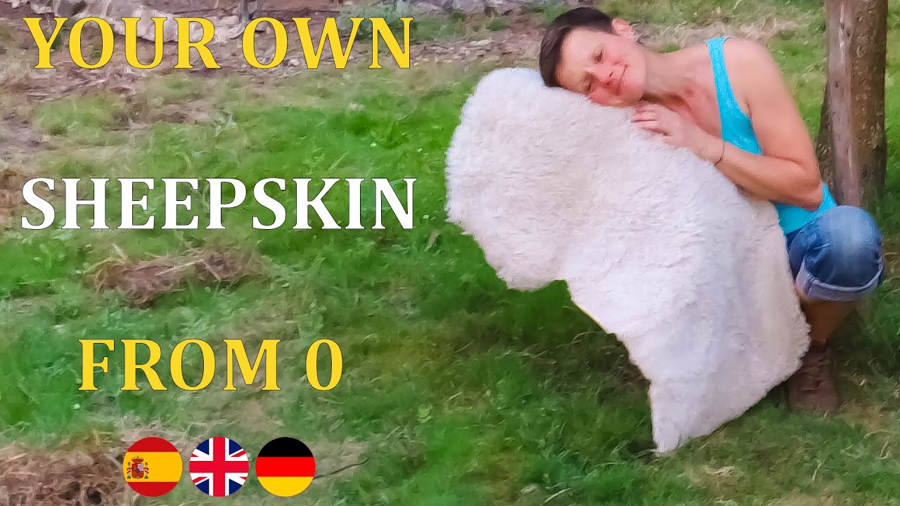 How to prepare a sheep skin 🐑🧑&zwj;🌾