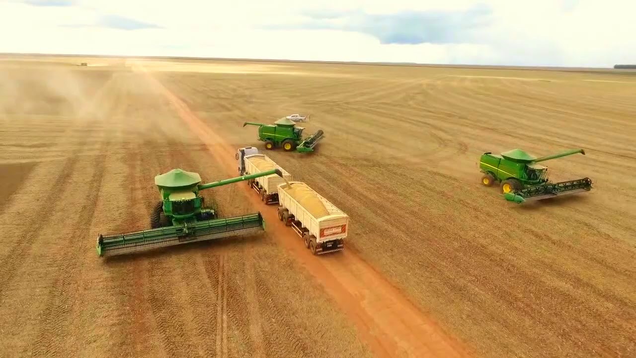 QUEM SONHA REALIZA!! COLHEITA DE SOJA NO MT /// PRO CAMPO
