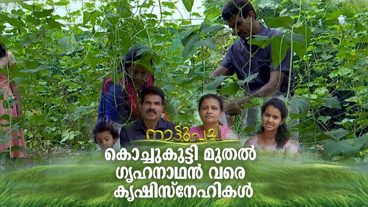 കൊച്ചുകുട്ടി മുതൽ ഗൃഹനാഥൻ വരെ കൃഷിസ്നേഹികള്‍; കോട്ടയത്തെ കാർഷിക കുടുംബം | Nattupacha