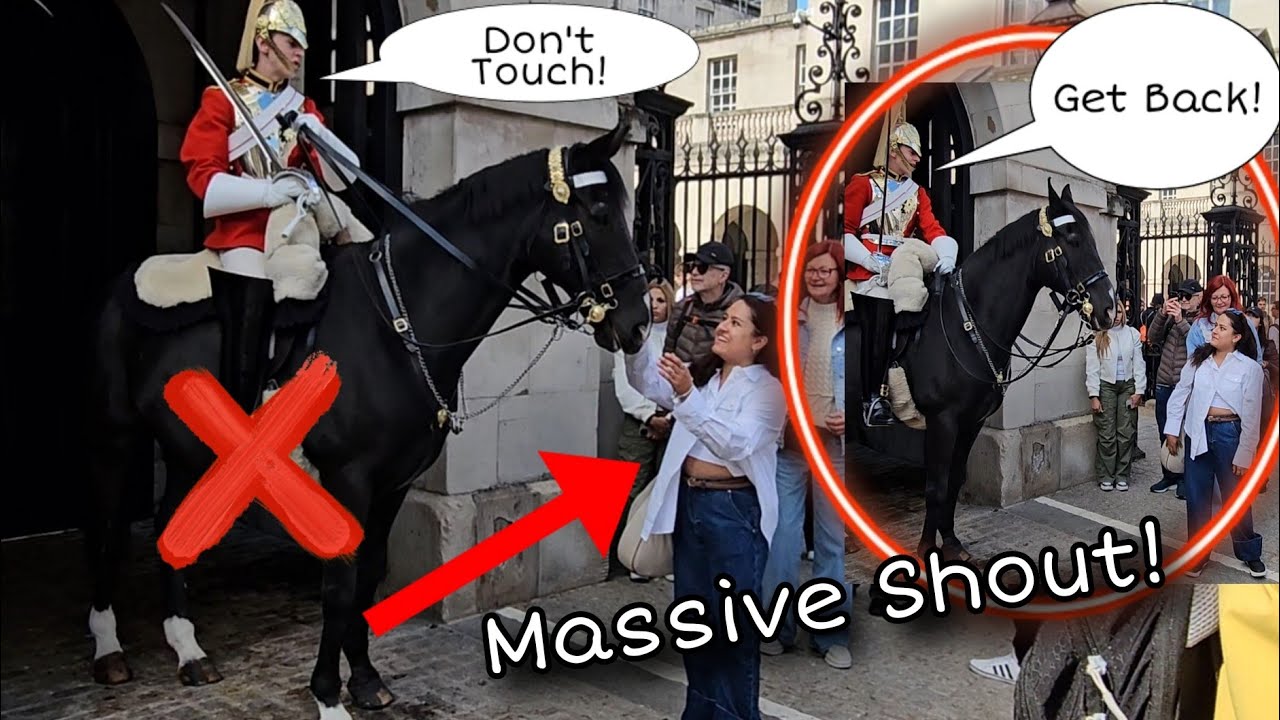 The Best Guard for Today!🙏 She got SHOUTED at for Touching the Horse!