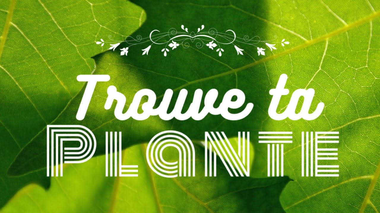 Trouve Ta Plante 🌱Spécial Karen @vie_deplantes