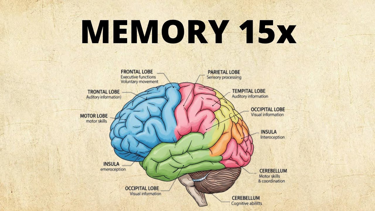 6 Instant Fixes for Your Memory