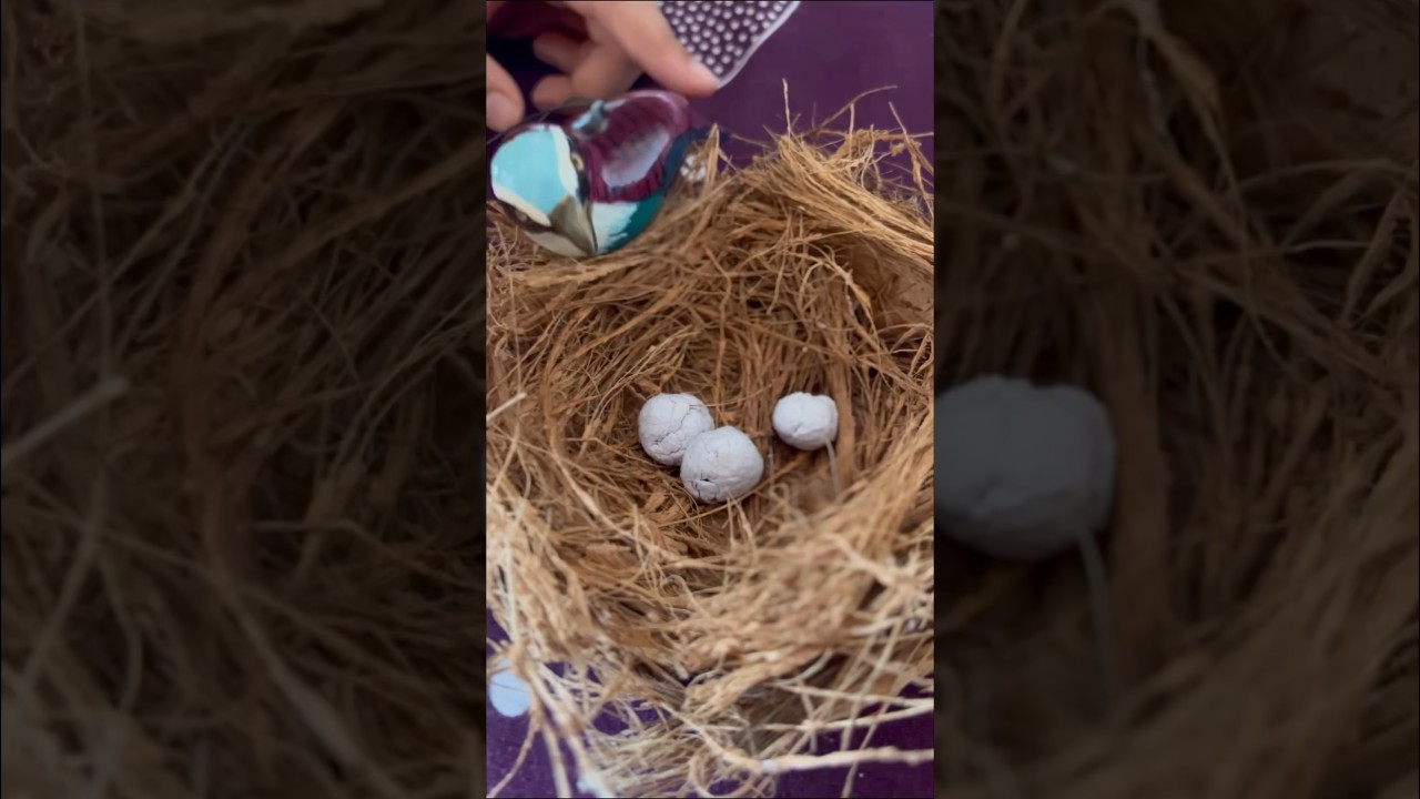 DIY Bird Nest using Coconut Coir | Fun & Easy Eco-Friendly School Project!
