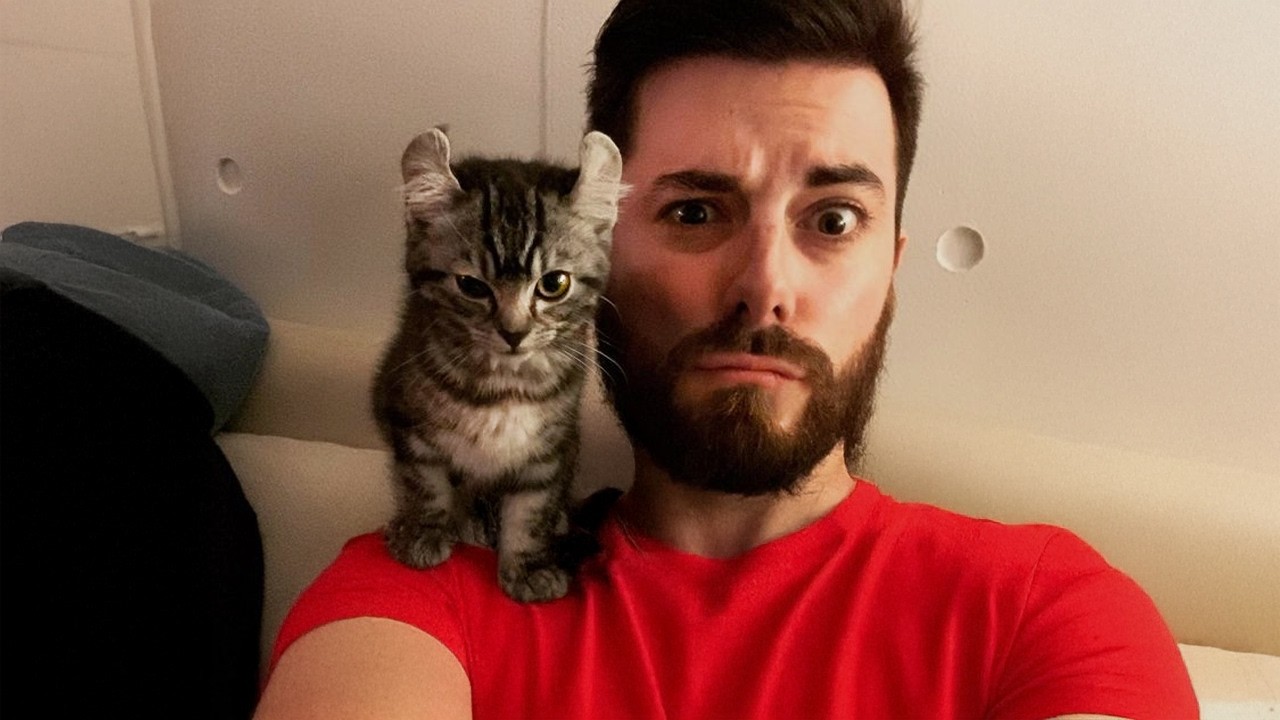 When Kittens Are Being Total Little Humans 😂 Funny Cat and Human