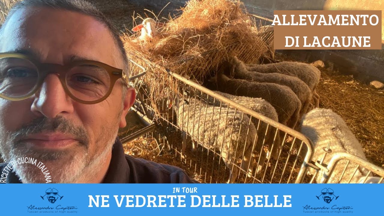 ALLA SCOPERTA DEGLI OVINI- Ne Vedrete delle belle on tour