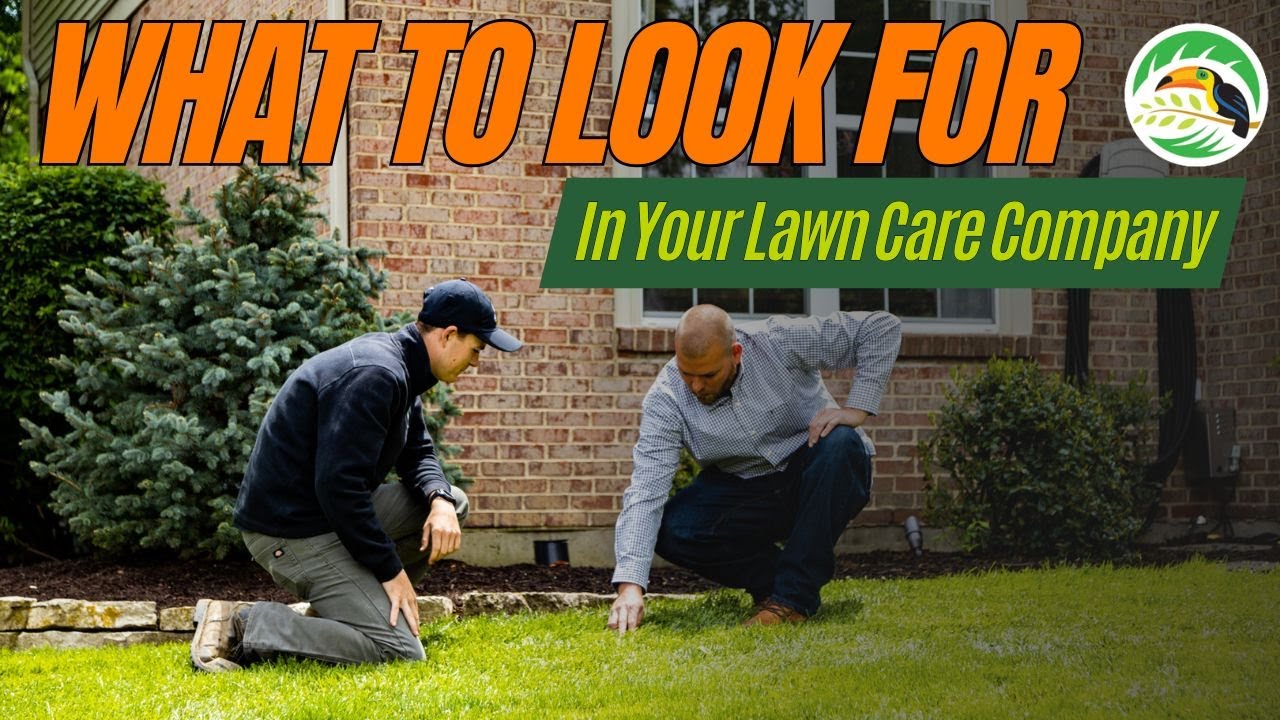 Best Lawn Care Companies: What to Look For to Get Great Results