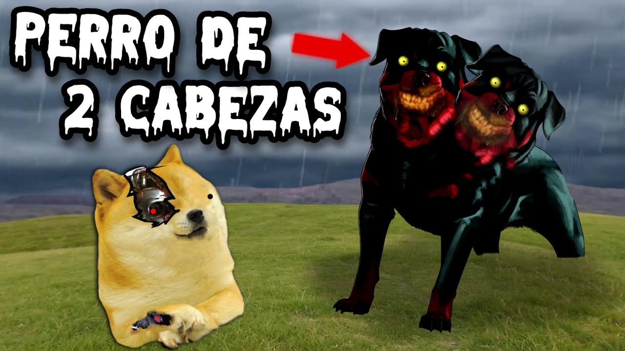 EL PERRO DE 2 CABEZAS , QUE NO TE MIRE! - Hilos con cheems