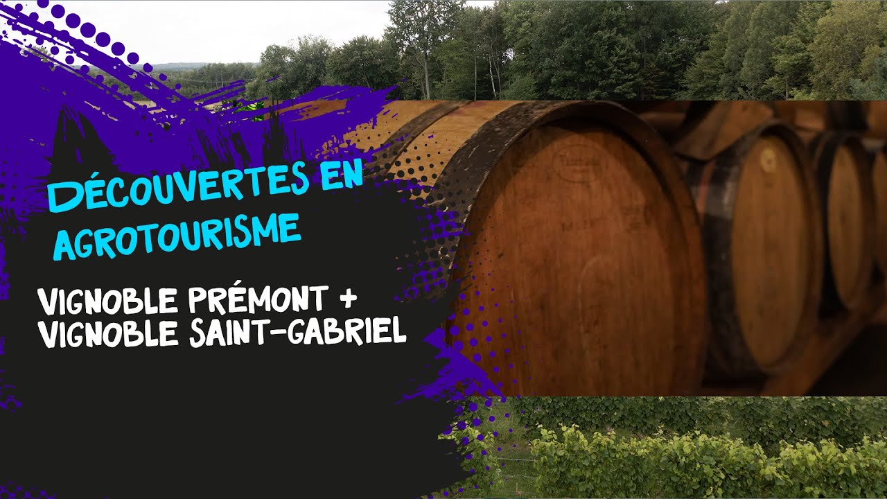 Découvertes en agrotourisme - Vignoble Prémont + Vignoble Saint-Gabriel