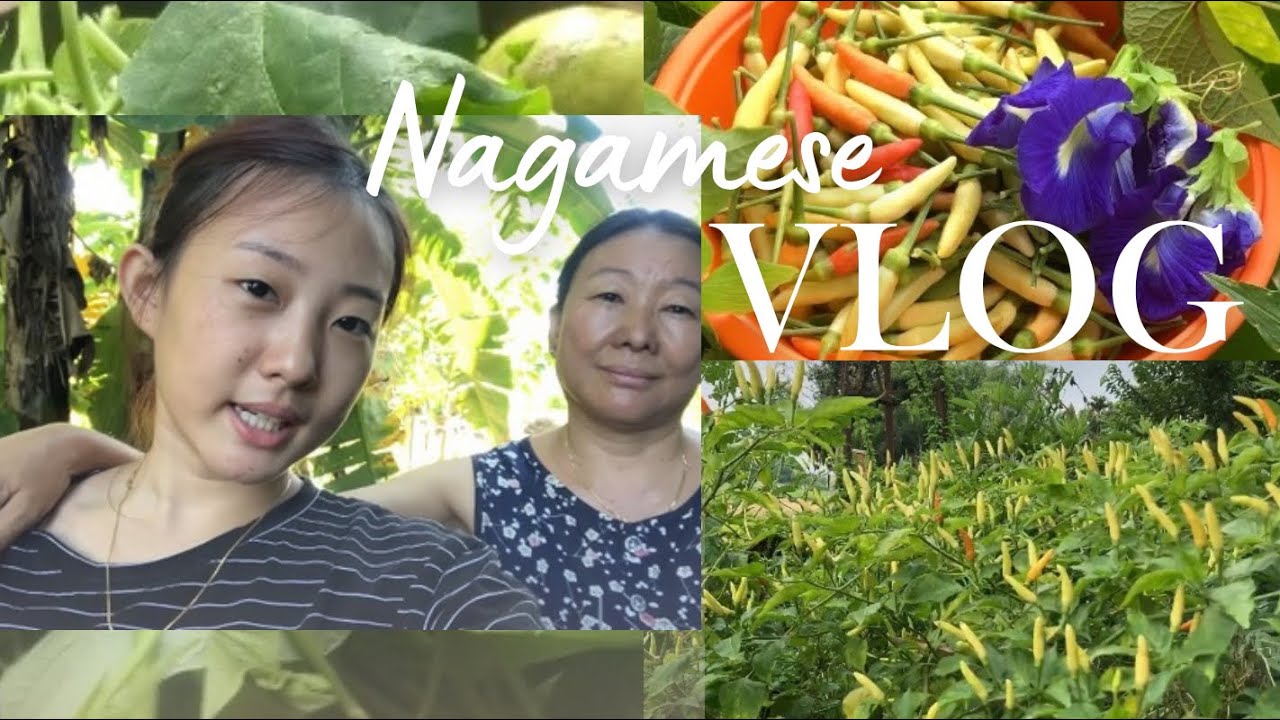 Nagamese Vlog!!😍 | Dimapur | Home🏠 