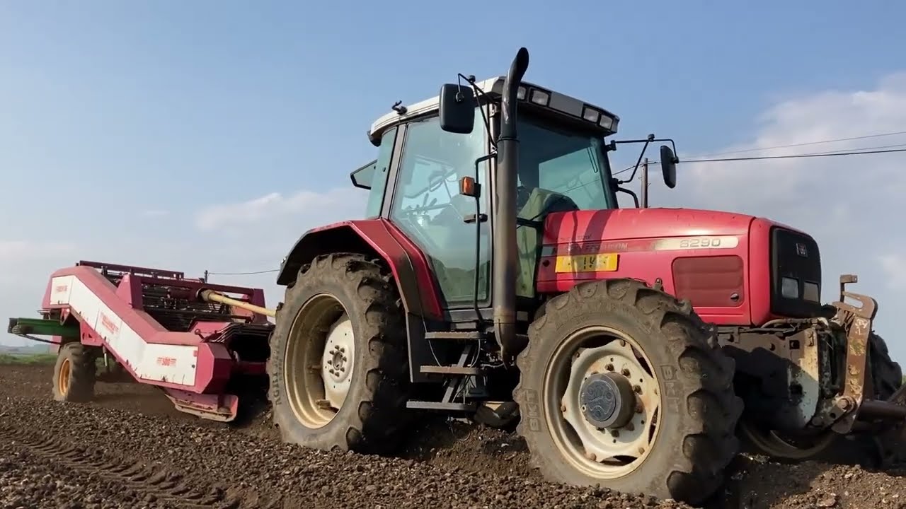 Massey Ferguson 6290 with Reekie Reliance 500 Destoning Potato Ridges - Potatoes 2022
