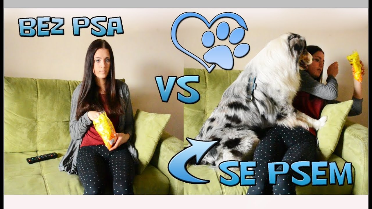 Život bez psa VS. Život se psem | Veronika&Akim
