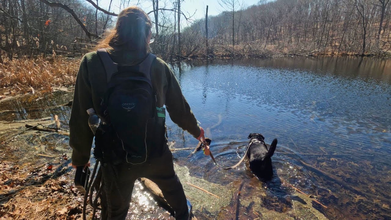 Is Ridge Run Park Worth Visiting? Ice Age Trail West Bend Segment