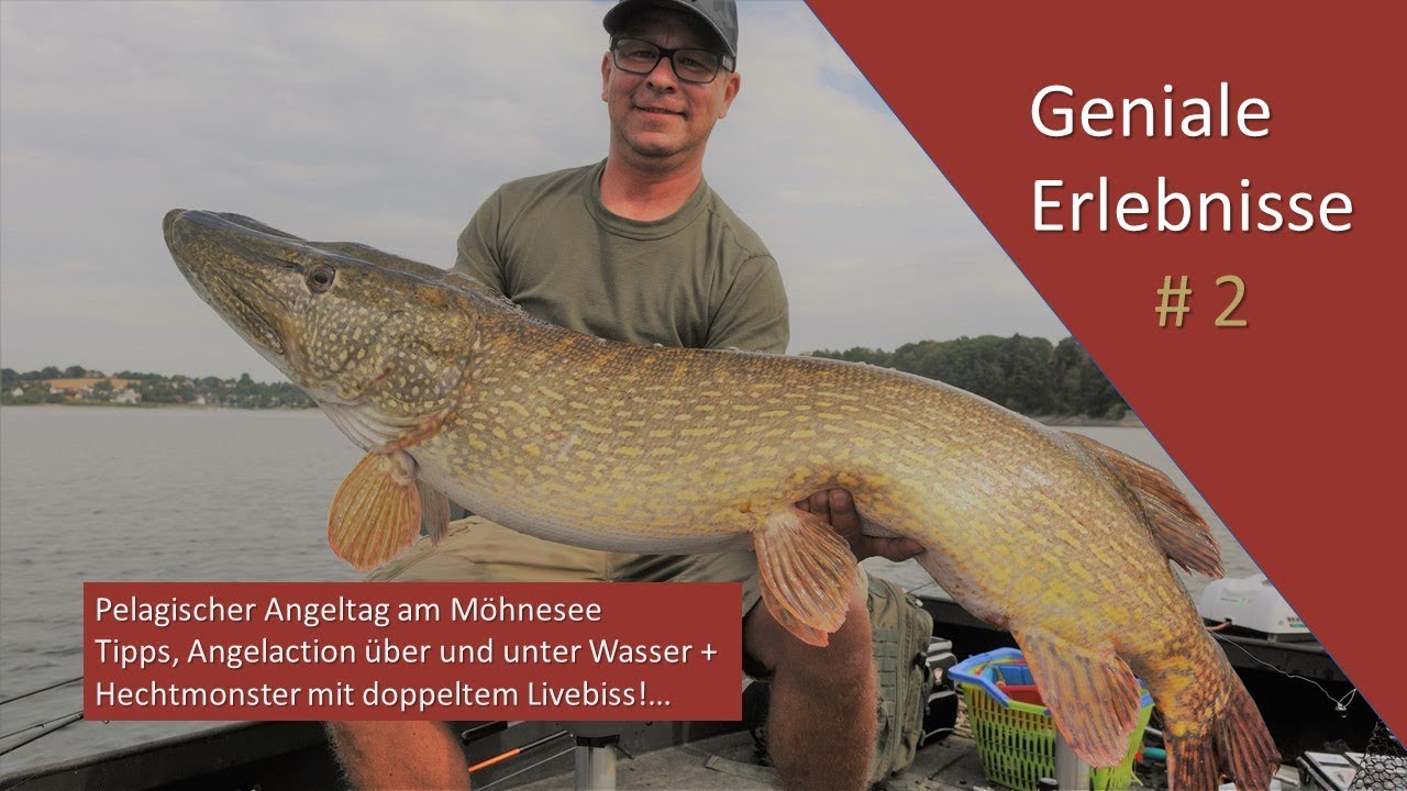 Möhneseemonster live gefangen!